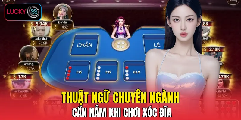 Thuật ngữ chuyên ngành cần nắm khi chơi xóc đĩa Thuật ngữ chuyên ngành cần nắm khi chơi xóc đĩa